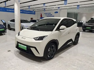 BYD Seagull 2024