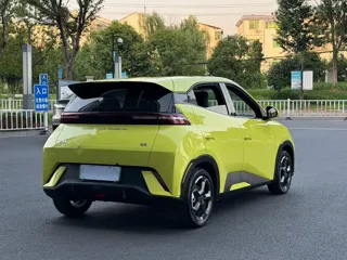 BYD Seagull 2024 купить из Китая, цена 1 554 000 ₽ — Suifenhe Auto