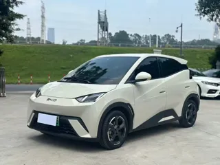 BYD Seagull 2023 купить из Китая, цена 1 248 000 ₽ — Suifenhe Auto