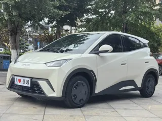 BYD Seagull 2025 купить из Китая, цена 1 354 000 ₽ — Suifenhe Auto