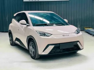 BYD Seagull 2025 купить из Китая, цена 1 372 000 ₽ — Suifenhe Auto