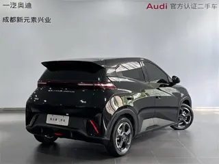 BYD Seagull 2024 купить из Китая, цена 1 211 000 ₽ — Suifenhe Auto