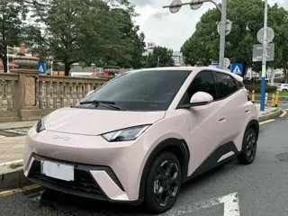 BYD Seagull 2025 купить из Китая, цена 1 354 000 ₽ — Suifenhe Auto