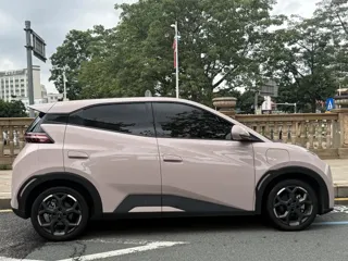 BYD Seagull 2025 купить из Китая, цена 1 354 000 ₽ — Suifenhe Auto