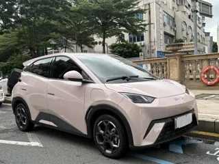 BYD Seagull 2025 купить из Китая, цена 1 354 000 ₽ — Suifenhe Auto