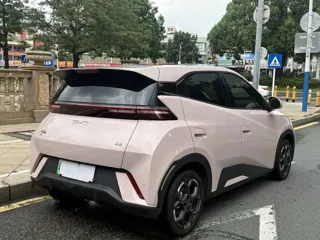 BYD Seagull 2025 купить из Китая, цена 1 354 000 ₽ — Suifenhe Auto