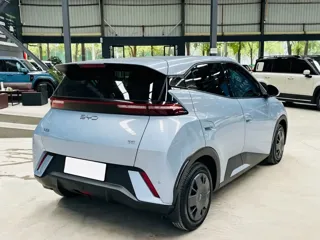 BYD Seagull 2025 купить из Китая, цена 1 354 000 ₽ — Suifenhe Auto
