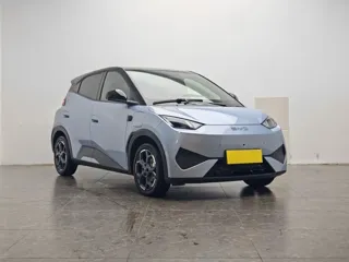 BYD Seagull 2026 купить из Китая, цена 1 501 000 ₽ — Suifenhe Auto