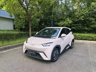 BYD Seagull 2024 купить из Китая, цена 1 244 000 ₽ — Suifenhe Auto