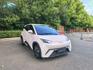 BYD Seagull 2024 купить из Китая, цена 1 244 000 ₽ — Suifenhe Auto