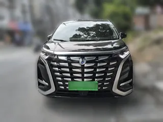 Denza Denza 2025 купить из Китая, цена 5 840 000 ₽ — Suifenhe Auto
