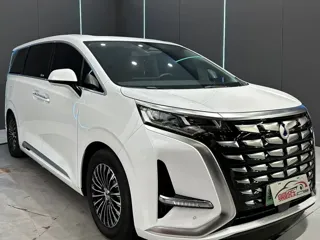Denza Denza 2024 купить из Китая, цена 5 656 000 ₽ — Suifenhe Auto