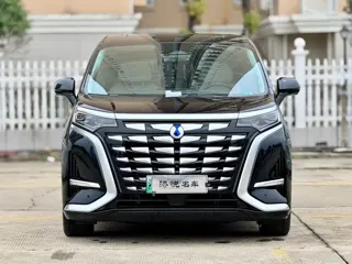 Denza Denza 2024 купить из Китая, цена 5 251 000 ₽ — Suifenhe Auto