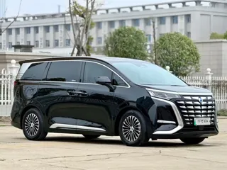 Denza Denza 2024 купить из Китая, цена 5 251 000 ₽ — Suifenhe Auto