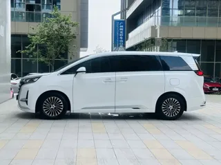 Denza Denza 2024 купить из Китая, цена 5 073 000 ₽ — Suifenhe Auto