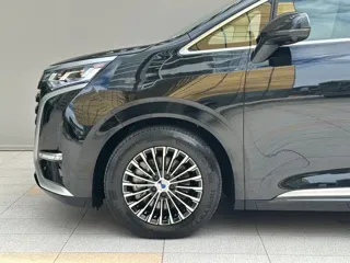 Denza Denza 2025 купить из Китая, цена 6 080 000 ₽ — Suifenhe Auto