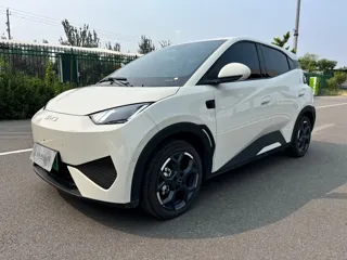 BYD Seagull 2025