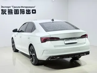 Skoda Octavia 2023 купить из Китая, цена 2 490 000 ₽ — Suifenhe Auto