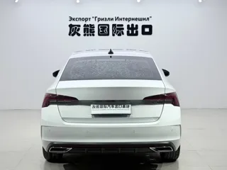 Skoda Octavia 2023 купить из Китая, цена 2 490 000 ₽ — Suifenhe Auto