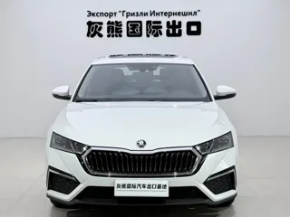 Skoda Octavia 2023 купить из Китая, цена 2 373 000 ₽ — Suifenhe Auto