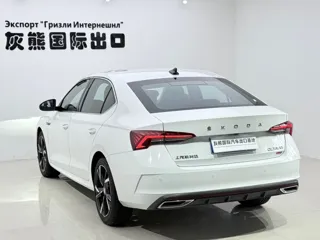 Skoda Octavia 2023 купить из Китая, цена 2 373 000 ₽ — Suifenhe Auto