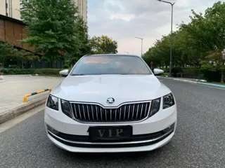Skoda Octavia 2020 купить из Китая, цена 1 214 000 ₽ — Suifenhe Auto
