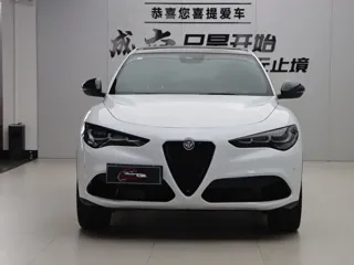 Alfa Romeo Stelvio 2024 купить из Китая, цена 5 874 000 ₽ — Suifenhe Auto