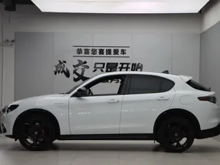 Alfa Romeo Stelvio 2024 купить из Китая, цена 5 874 000 ₽ — Suifenhe Auto