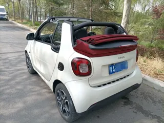 smart fortwo 2019 купить из Китая, цена 1 782 000 ₽ — Suifenhe Auto