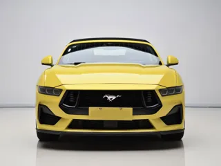 Ford Mustang 2024 купить из Китая, цена 9 252 000 ₽ — Suifenhe Auto