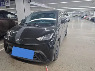 BYD Seagull 2025 купить из Китая, цена 1 183 000 ₽ — Suifenhe Auto