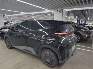 BYD Seagull 2025 купить из Китая, цена 1 183 000 ₽ — Suifenhe Auto