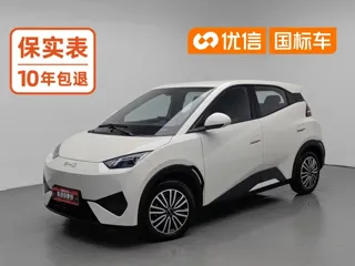 BYD Seagull 2025 купить из Китая, цена 1 292 000 ₽ — Suifenhe Auto