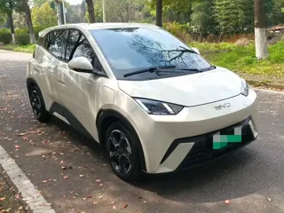 BYD Seagull 2024 купить из Китая, цена 1 220 000 ₽ — Suifenhe Auto
