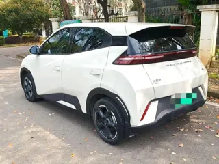 BYD Seagull 2024 купить из Китая, цена 1 220 000 ₽ — Suifenhe Auto