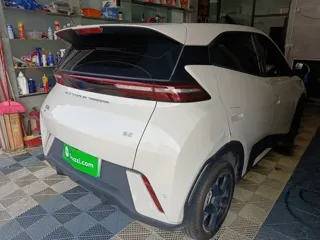 BYD Seagull 2024 купить из Китая, цена 1 220 000 ₽ — Suifenhe Auto