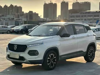Baojun 510 2019