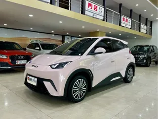 BYD Seagull 2024 купить из Китая, цена 1 220 000 ₽ — Suifenhe Auto