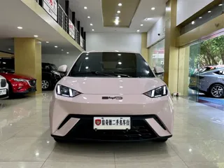 BYD Seagull 2024 купить из Китая, цена 1 220 000 ₽ — Suifenhe Auto
