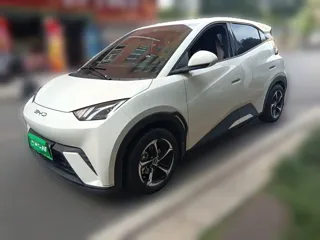BYD Seagull 2024 купить из Китая, цена 1 294 000 ₽ — Suifenhe Auto