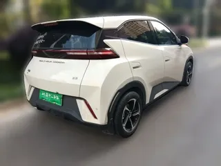BYD Seagull 2024 купить из Китая, цена 1 294 000 ₽ — Suifenhe Auto