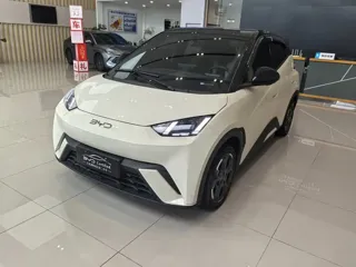 BYD Seagull 2024 купить из Китая, цена 1 510 000 ₽ — Suifenhe Auto