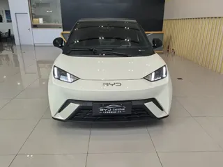 BYD Seagull 2024 купить из Китая, цена 1 510 000 ₽ — Suifenhe Auto