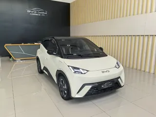 BYD Seagull 2024 купить из Китая, цена 1 510 000 ₽ — Suifenhe Auto