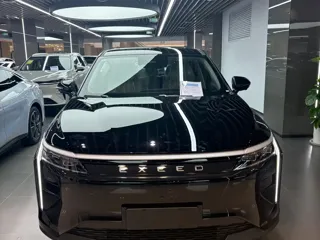 EXEED Yaoguang C-DM 2026 купить из Китая, цена 3 941 000 ₽ — Suifenhe Auto