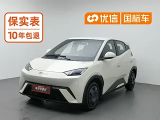 BYD Seagull 2024 купить из Китая, цена 1 256 000 ₽ — Suifenhe Auto