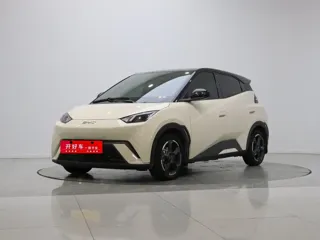 BYD Seagull 2024 купить из Китая, цена 1 383 000 ₽ — Suifenhe Auto