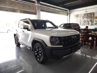 Haval Cool Dog 2022 купить из Китая, цена 1 875 000 ₽ — Suifenhe Auto