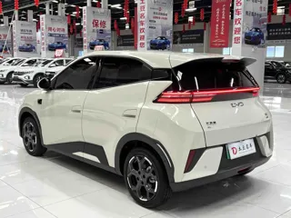 BYD Seagull 2025 купить из Китая, цена 1 656 000 ₽ — Suifenhe Auto