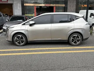 Aion Y 2024 купить из Китая, цена 2 778 000 ₽ — Suifenhe Auto